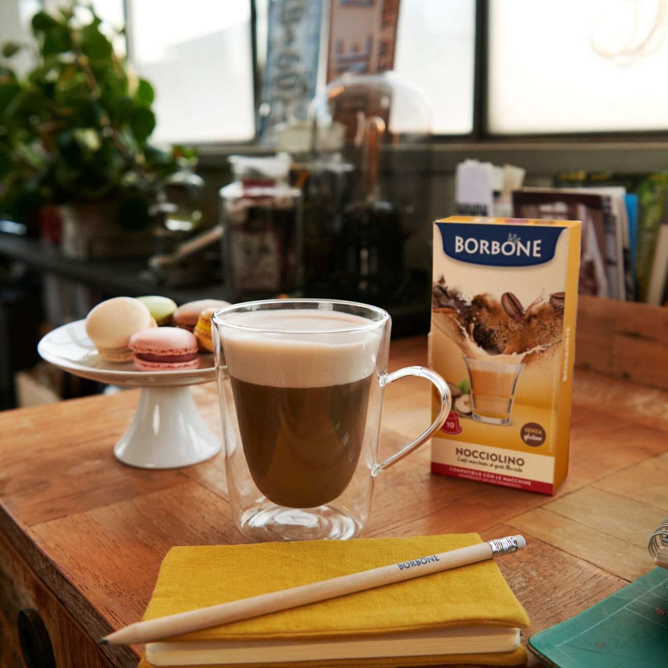 NOCCIOLINO